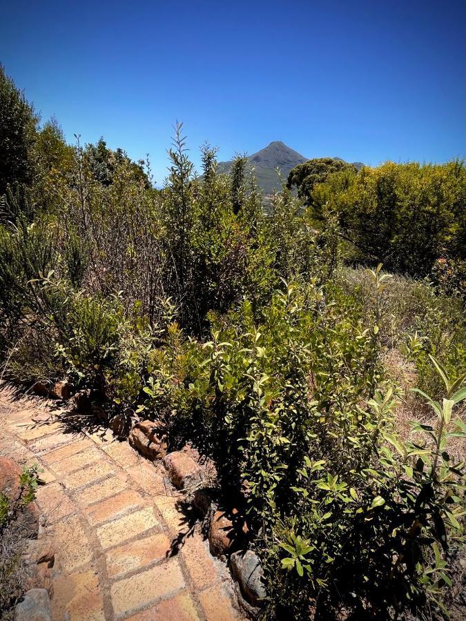 Windrose, Noordhoek, Sensationeller Meerblick Cape Town Eksteriør bilde