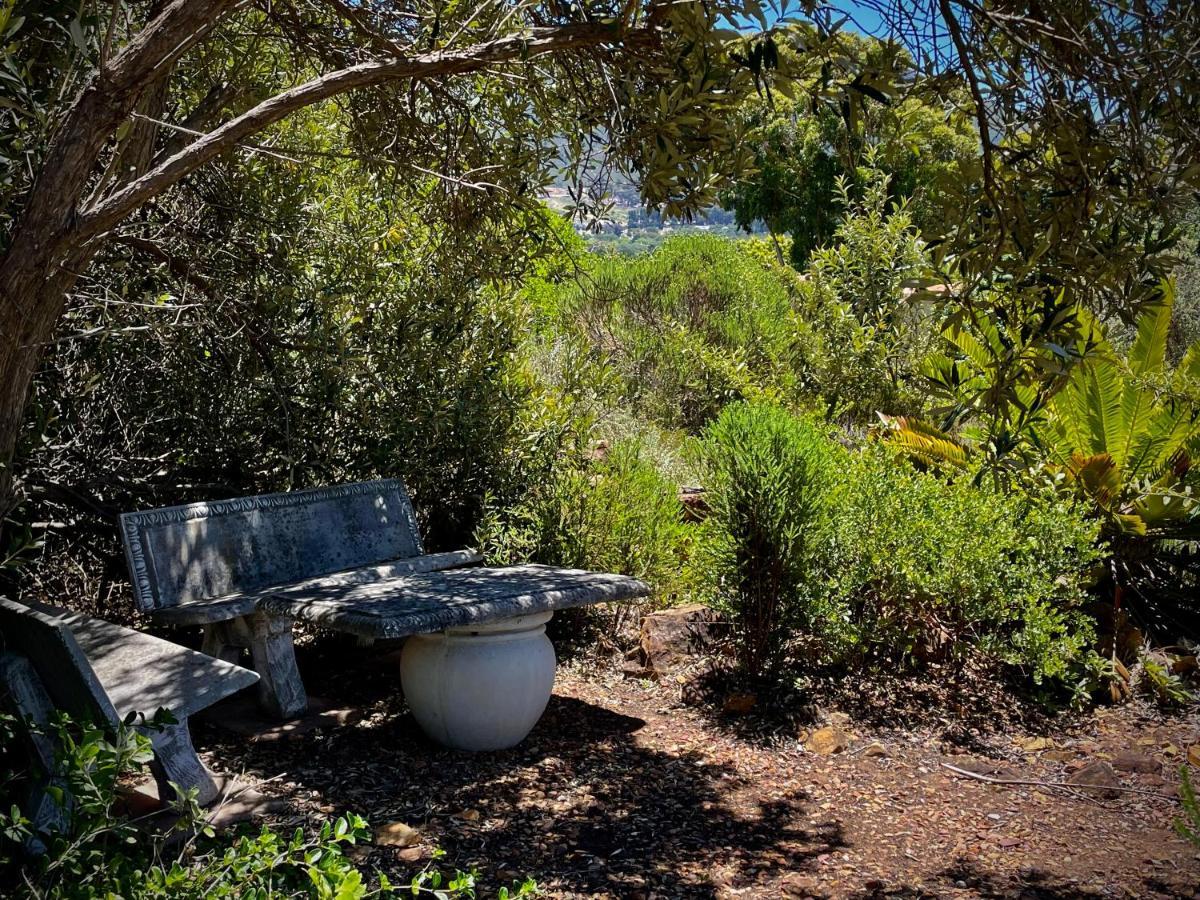 Windrose, Noordhoek, Sensationeller Meerblick Cape Town Eksteriør bilde