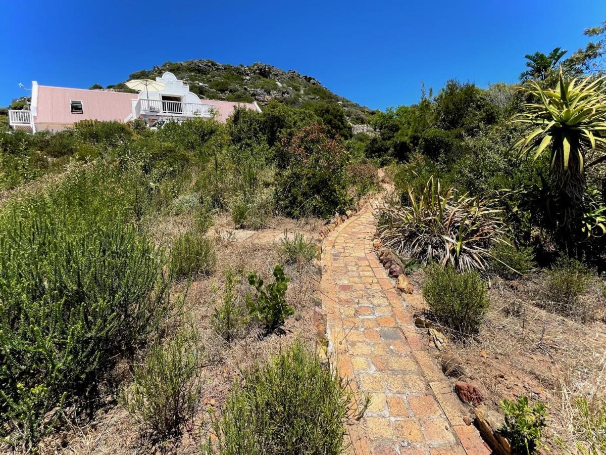 Windrose, Noordhoek, Sensationeller Meerblick Cape Town Eksteriør bilde