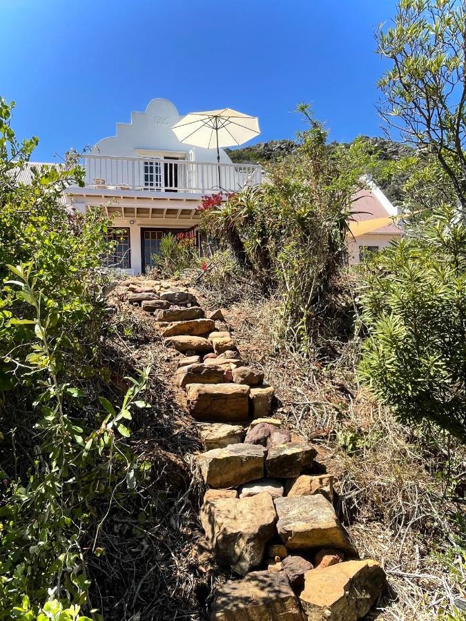 Windrose, Noordhoek, Sensationeller Meerblick Cape Town Eksteriør bilde