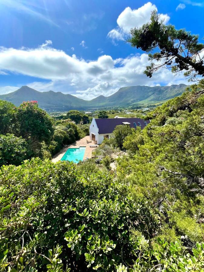Windrose, Noordhoek, Sensationeller Meerblick Cape Town Eksteriør bilde