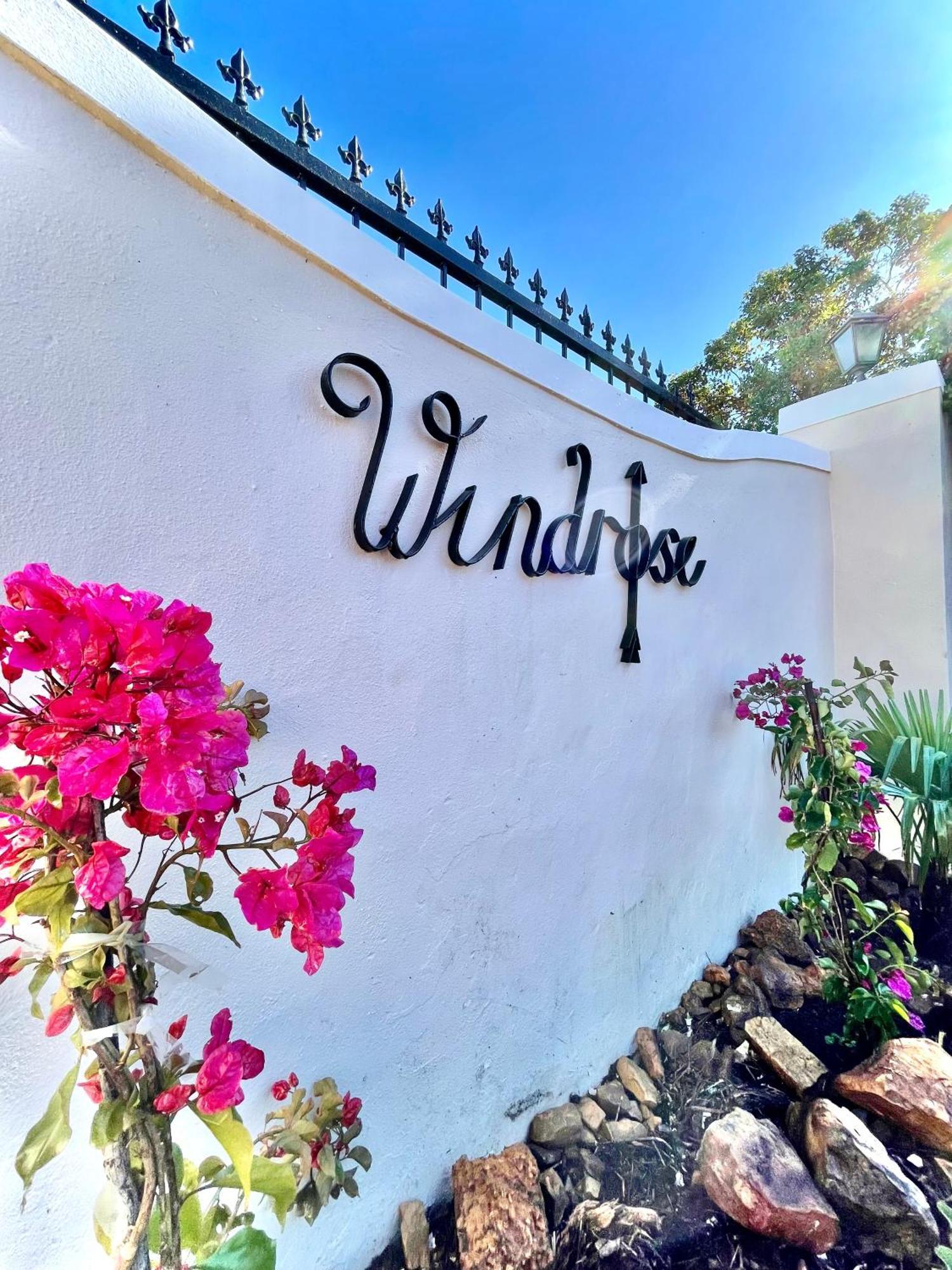 Windrose, Noordhoek, Sensationeller Meerblick Cape Town Eksteriør bilde
